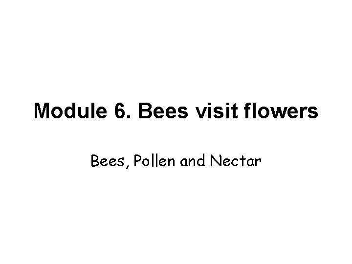 Module 6. Bees visit flowers Bees, Pollen and Nectar 