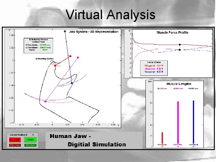 Virtual Analysis 