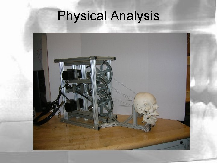 Physical Analysis 