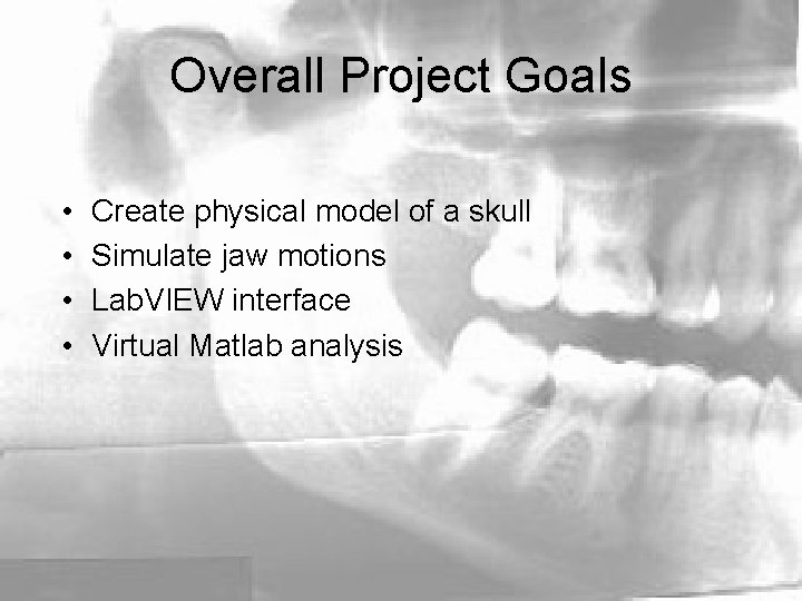 Overall Project Goals • • Create physical model of a skull Simulate jaw motions