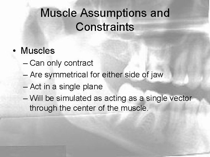 Muscle Assumptions and Constraints • Muscles – Can only contract – Are symmetrical for