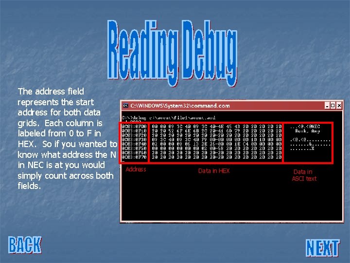The address field represents the start address for both data grids. Each column is The address field represents the start address for both data grids. Each column is