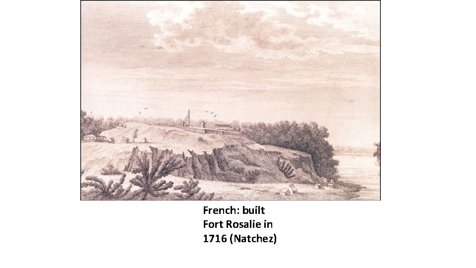 French: built Fort Rosalie in 1716 (Natchez) 