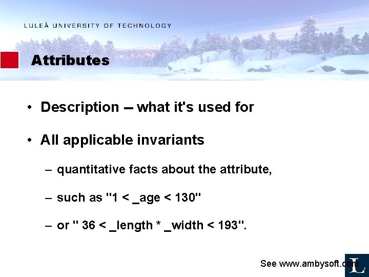 Attributes • Description -- what it's used for • All applicable invariants – quantitative