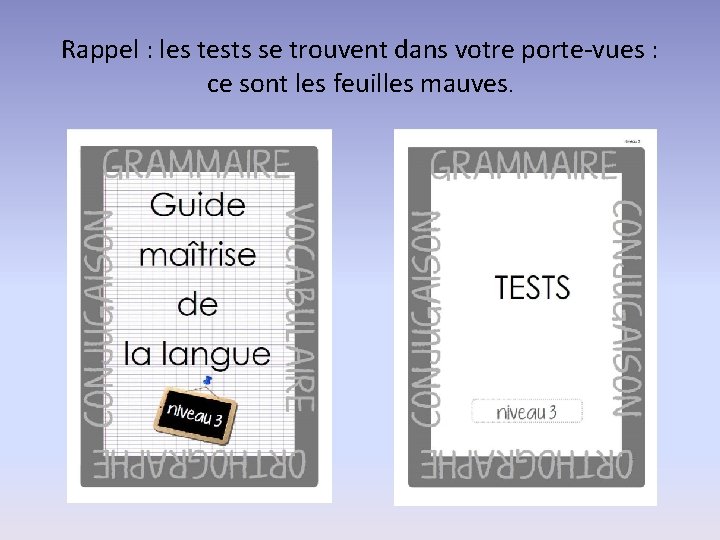 Rappel : les tests se trouvent dans votre porte-vues : ce sont les feuilles