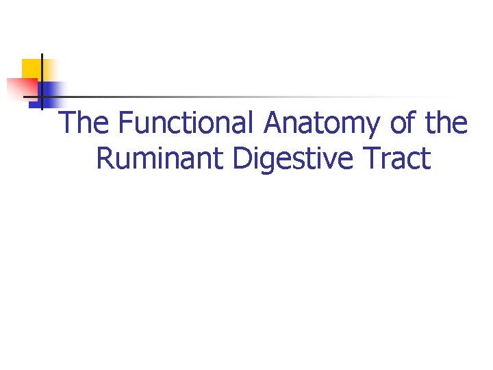 The Functional Anatomy of the Ruminant Digestive Tract 