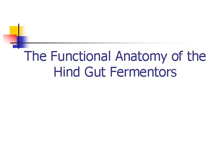 The Functional Anatomy of the Hind Gut Fermentors 