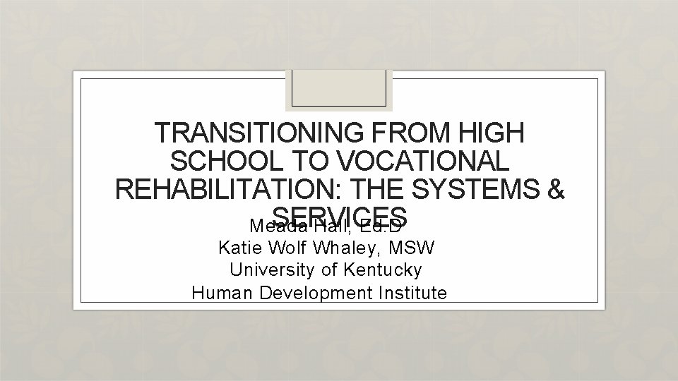 TRANSITIONING FROM HIGH SCHOOL TO VOCATIONAL REHABILITATION: THE SYSTEMS & SERVICES Meada Hall, Ed.