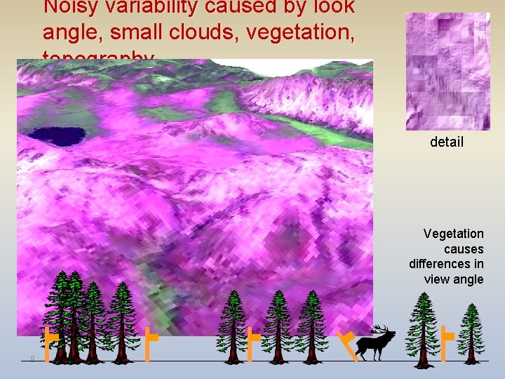 Noisy variability caused by look angle, small clouds, vegetation, topography detail Vegetation causes differences