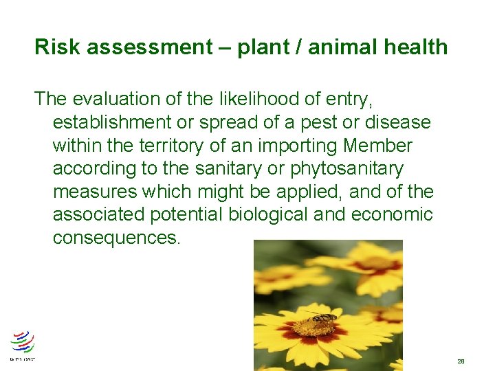 Risk assessment – plant / animal health The evaluation of the likelihood of entry, Risk assessment – plant / animal health The evaluation of the likelihood of entry,