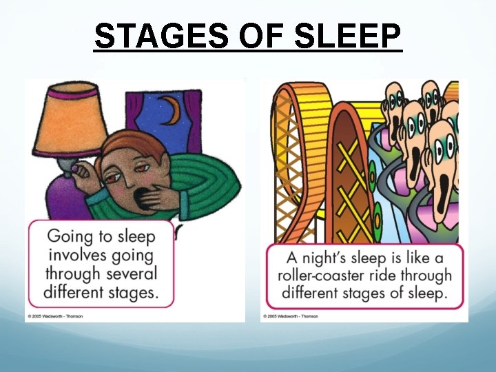 STAGES OF SLEEP STAGES OF SLEEP