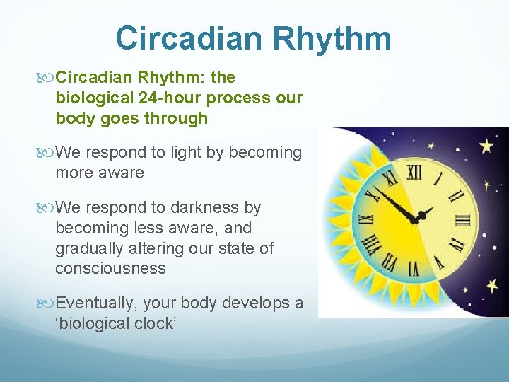 Circadian Rhythm: the biological 24 -hour process our body goes through We respond to