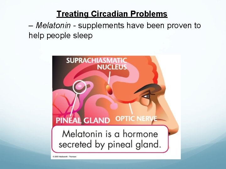 Treating Circadian Problems – Melatonin - supplements have been proven to help people sleep Treating Circadian Problems – Melatonin - supplements have been proven to help people sleep