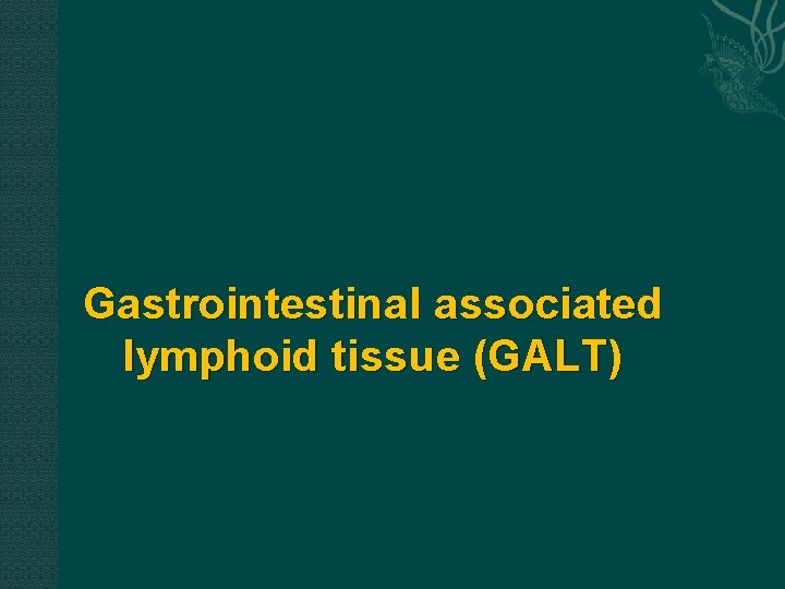 Gastrointestinal associated lymphoid tissue (GALT) 