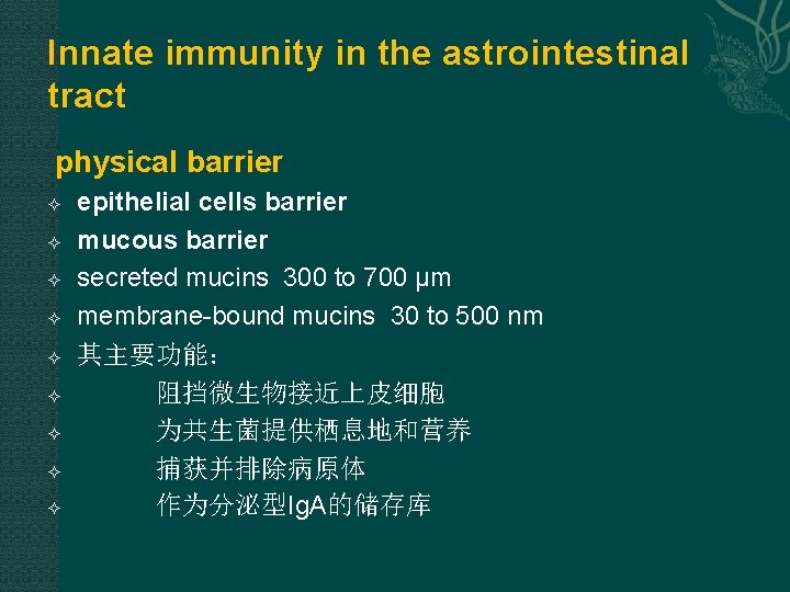 Innate immunity in the astrointestinal tract physical barrier epithelial cells barrier mucous barrier secreted