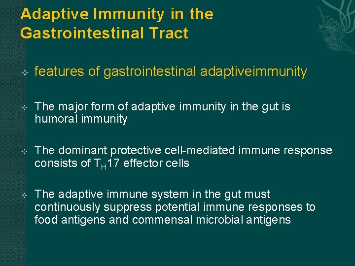 Adaptive Immunity in the Gastrointestinal Tract features of gastrointestinal adaptiveimmunity The major form of