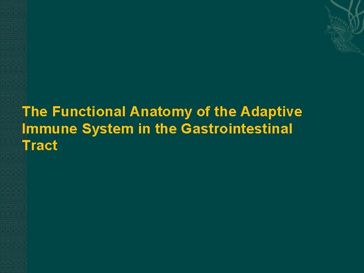 The Functional Anatomy of the Adaptive Immune System in the Gastrointestinal Tract 
