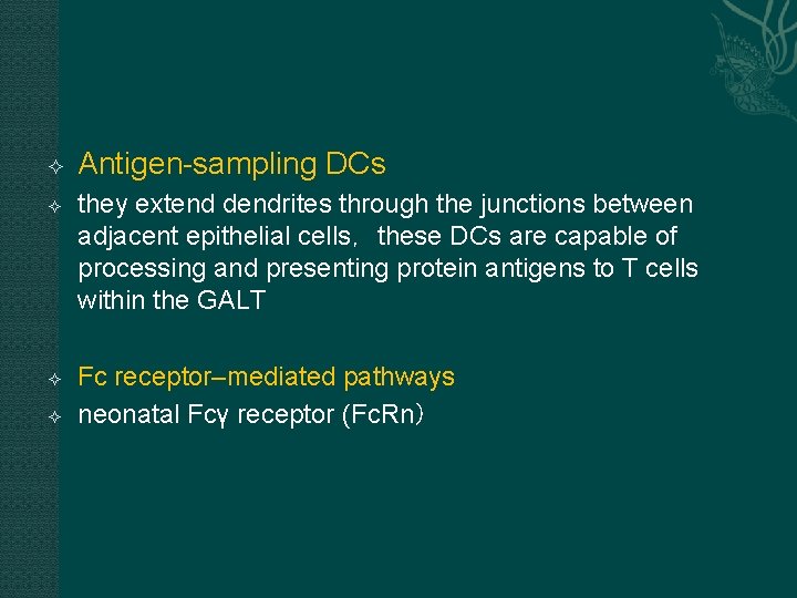  Antigen-sampling DCs they extend dendrites through the junctions between adjacent epithelial cells，these DCs