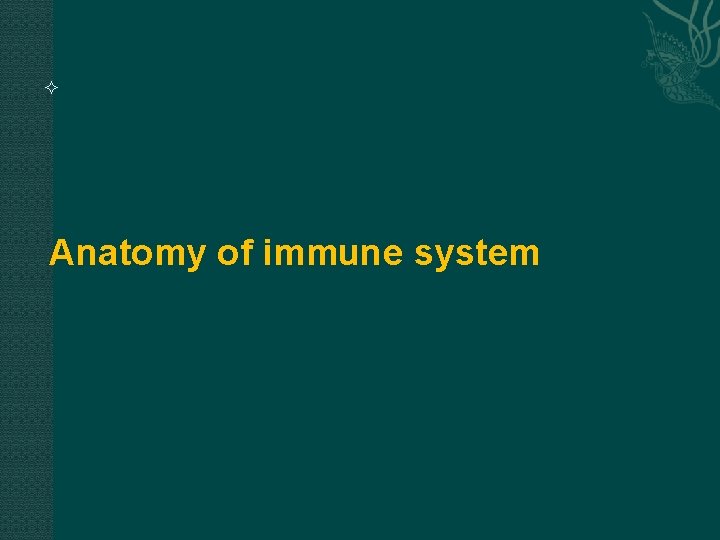 Anatomy of immune system Anatomy of immune system