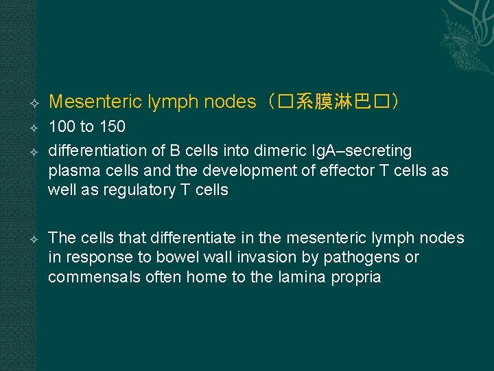 Mesenteric lymph nodes(�系膜淋巴�) 100 to 150 differentiation of B cells into dimeric Ig. Mesenteric lymph nodes(�系膜淋巴�) 100 to 150 differentiation of B cells into dimeric Ig.
