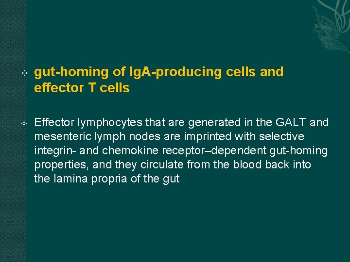  gut-homing of Ig. A-producing cells and effector T cells Effector lymphocytes that are