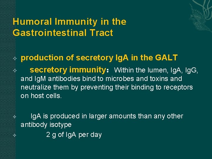 Humoral Immunity in the Gastrointestinal Tract production of secretory Ig. A in the GALT