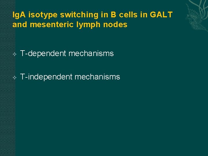 Ig. A isotype switching in B cells in GALT and mesenteric lymph nodes T-dependent Ig. A isotype switching in B cells in GALT and mesenteric lymph nodes T-dependent