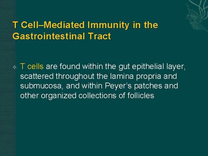 T Cell–Mediated Immunity in the Gastrointestinal Tract T cells are found within the gut T Cell–Mediated Immunity in the Gastrointestinal Tract T cells are found within the gut