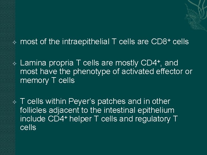 most of the intraepithelial T cells are CD 8+ cells Lamina propria T most of the intraepithelial T cells are CD 8+ cells Lamina propria T