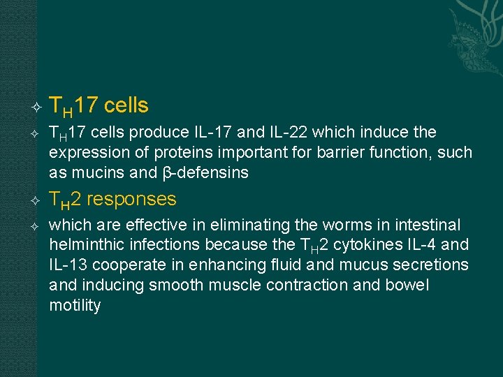  TH 17 cells produce IL-17 and IL-22 which induce the expression of proteins