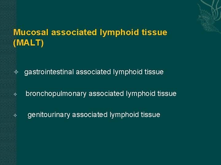 Mucosal associated lymphoid tissue Mucosal (MALT) gastrointestinal associated lymphoid tissue bronchopulmonary associated lymphoid tissue Mucosal associated lymphoid tissue Mucosal (MALT) gastrointestinal associated lymphoid tissue bronchopulmonary associated lymphoid tissue