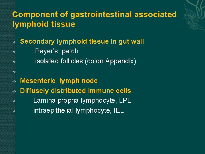 Component of gastrointestinal associated lymphoid tissue Secondary lymphoid tissue in gut wall Peyer’s patch Component of gastrointestinal associated lymphoid tissue Secondary lymphoid tissue in gut wall Peyer’s patch