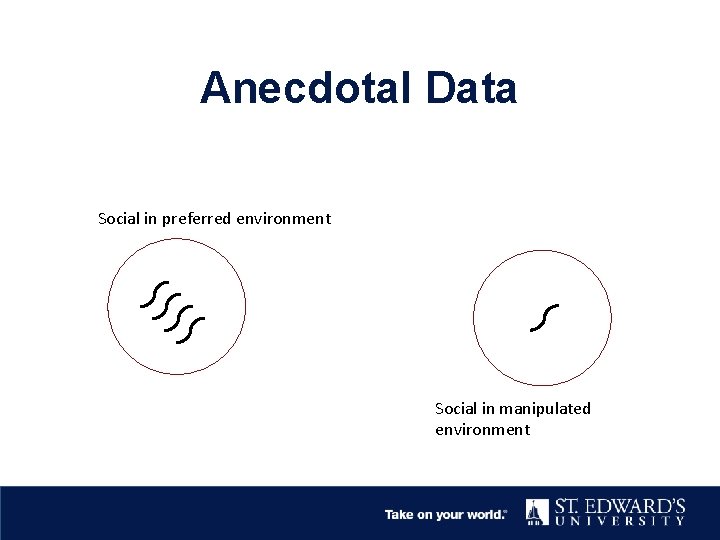 Anecdotal Data Social in preferred environment Social in manipulated environment 