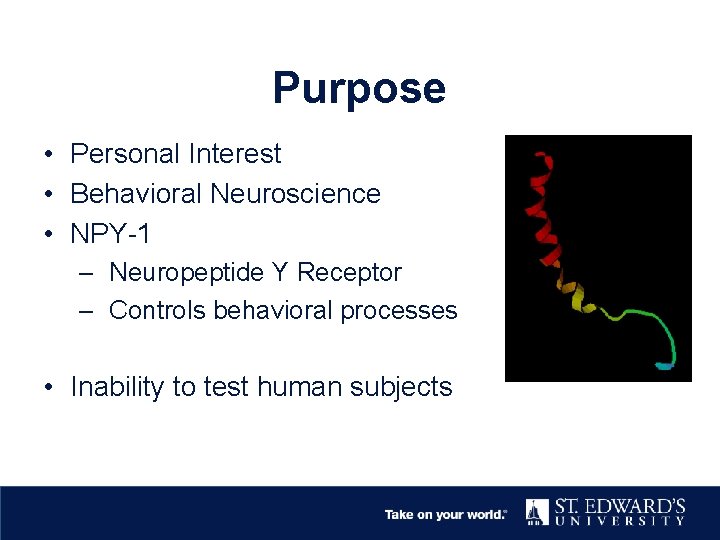 Purpose • Personal Interest • Behavioral Neuroscience • NPY-1 – Neuropeptide Y Receptor –