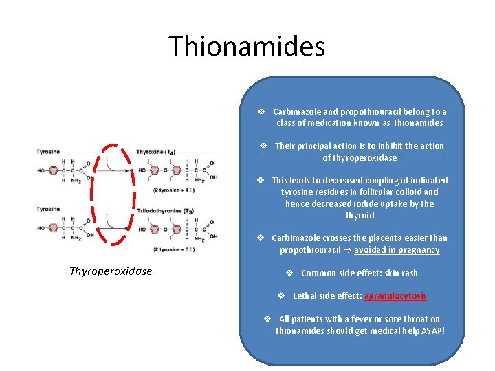 Thionamides v Carbimazole and propothiouracil belong to a class of medication known as Thionamides