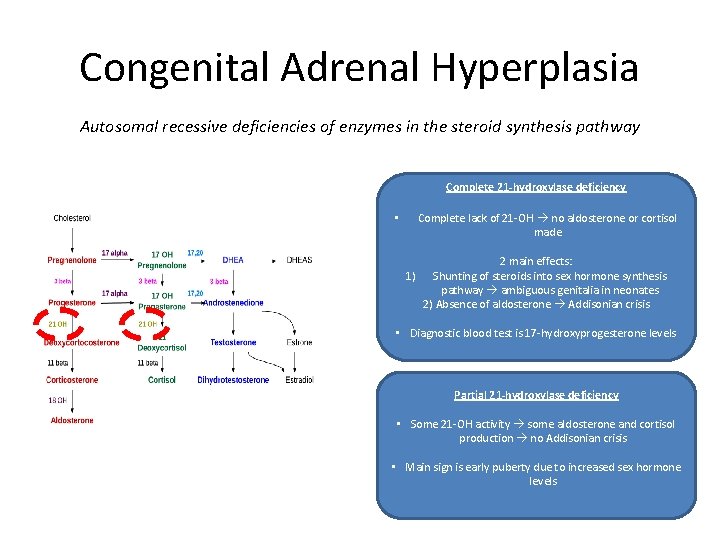 Congenital Adrenal Hyperplasia Autosomal recessive deficiencies of enzymes in the steroid synthesis pathway Complete