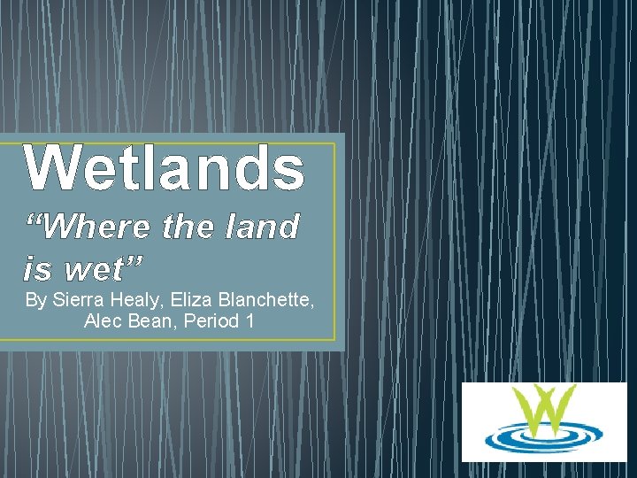 Wetlands “Where the land is wet” By Sierra Healy, Eliza Blanchette, Alec Bean, Period