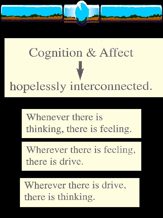 Cognition & Affect 