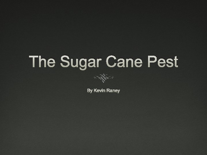 The Sugar Cane Pest By Kevin Raney 