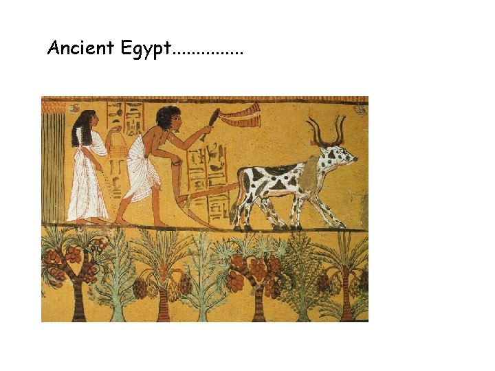 Ancient Egypt. . . . 