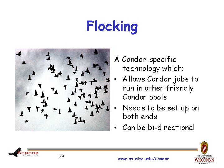 Flocking A Condor-specific technology which: • Allows Condor jobs to run in other friendly