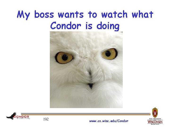 My boss wants to watch what Condor is doing 192 www. cs. wisc. edu/Condor