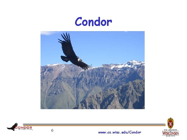 Condor 6 www. cs. wisc. edu/Condor 