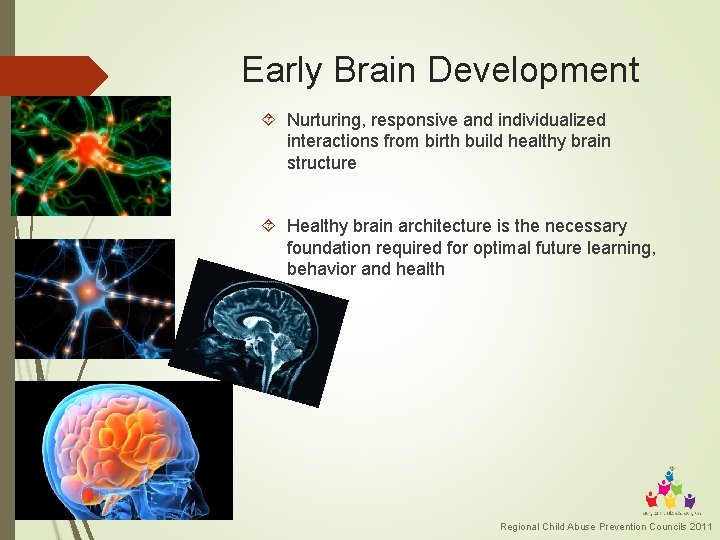 Early Brain Development Nurturing, responsive and individualized interactions from birth build healthy brain structure