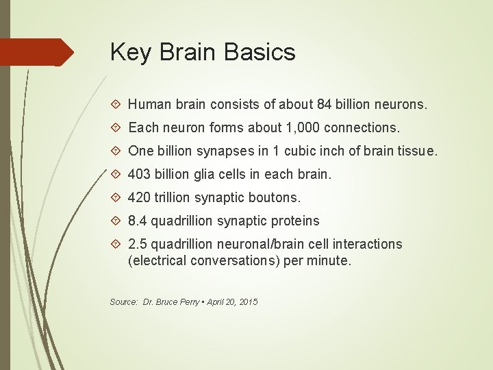 Key Brain Basics Human brain consists of about 84 billion neurons. Each neuron forms