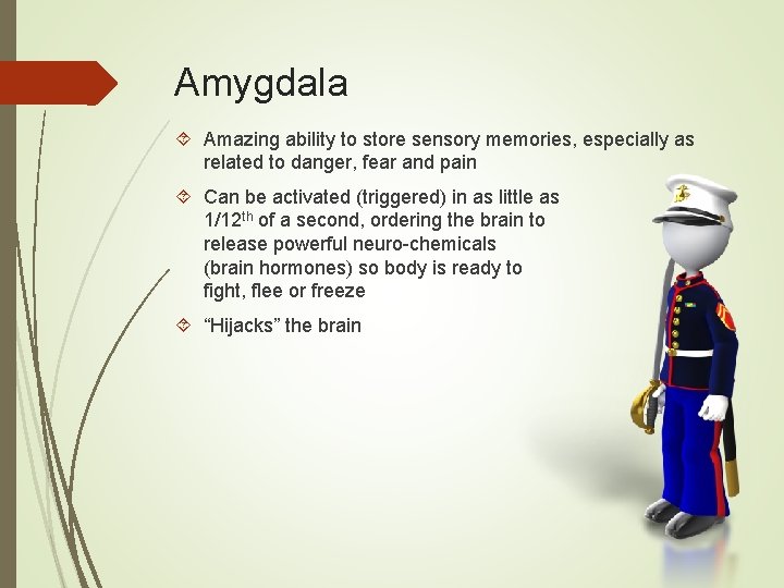 Amygdala Amazing ability to store sensory memories, especially as related to danger, fear and