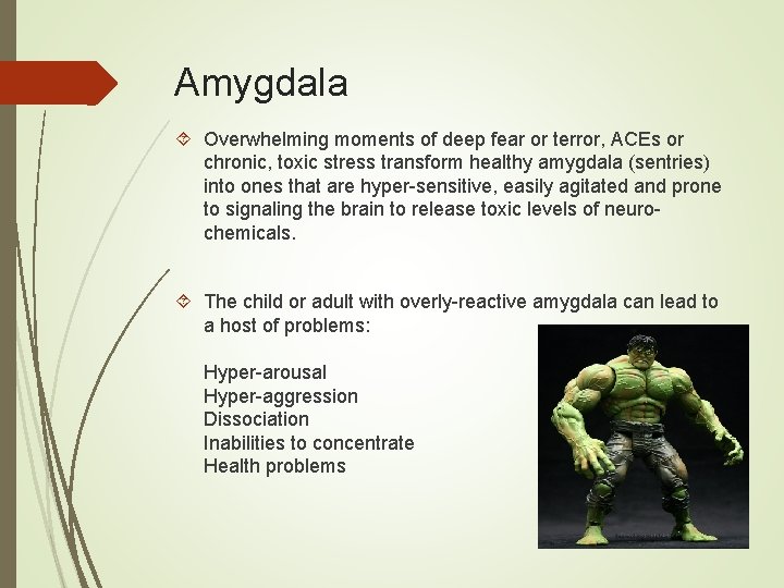 Amygdala Overwhelming moments of deep fear or terror, ACEs or chronic, toxic stress transform