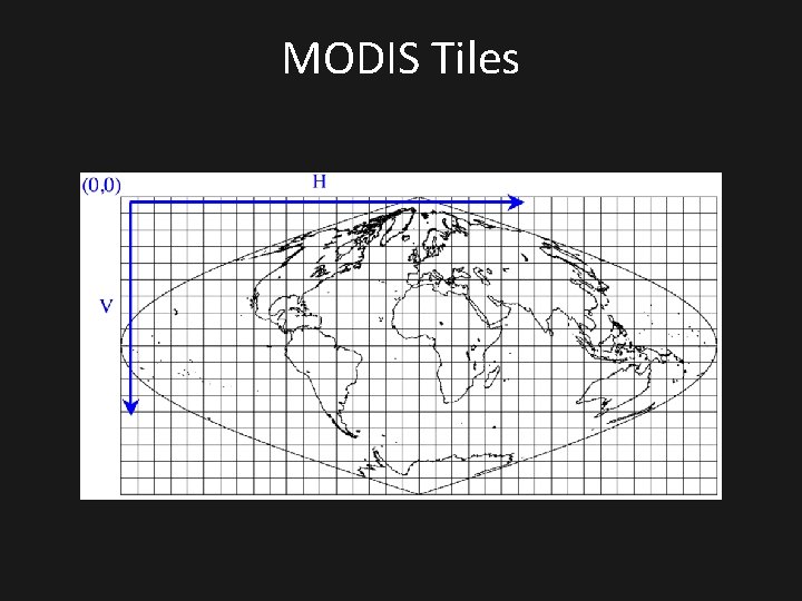 MODIS Tiles 