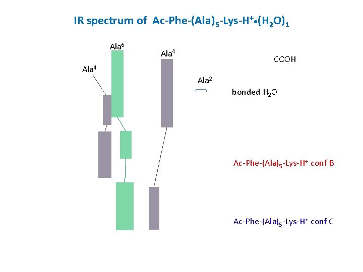 IR spectrum of Ac-Phe-(Ala)5 -Lys-H+ • (H 2 O)1 Ala 6 Ala 4 COOH