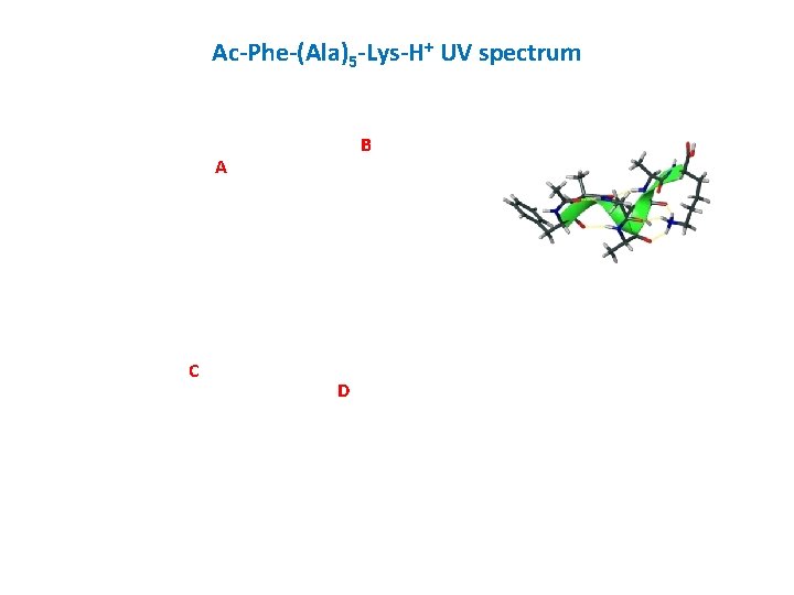 Ac-Phe-(Ala)5 -Lys-H+ UV spectrum B A C D 